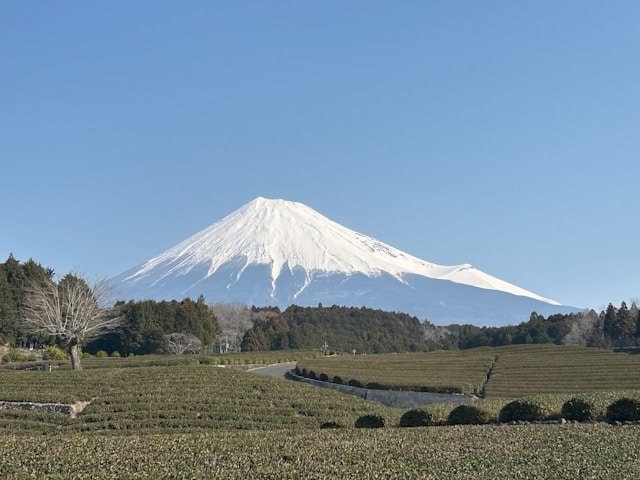 Mount Kilimanjaro rising above the plains of Tanzania